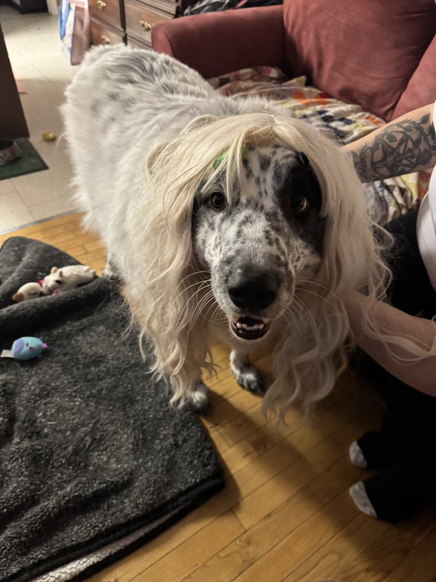 Raised $215 for the Extra Life children’s hospital charity. ❤️✌🏼

Thank you to everyone who donated, means allot to me and to the kids

#extralife #charity #gw2 #guildwars2