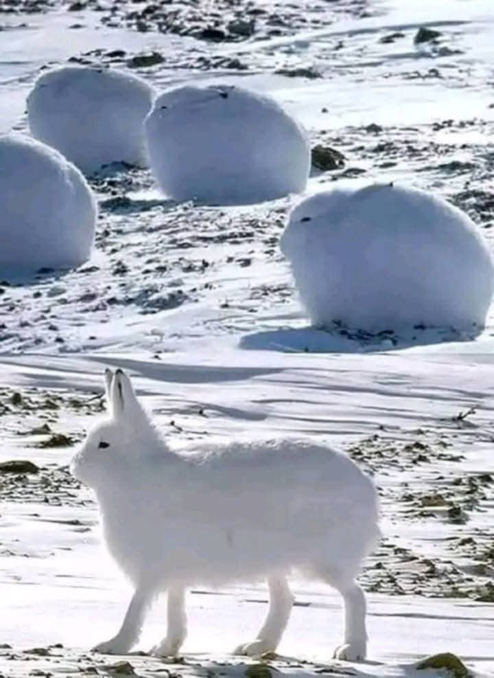 Good morning ☀️
To work