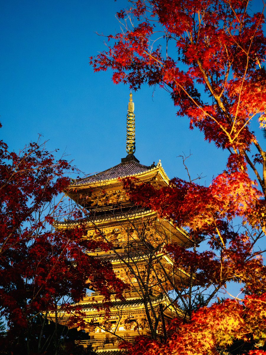 2025年11月16日 日曜日ですが、本日、雲海ライトアップ休止日です