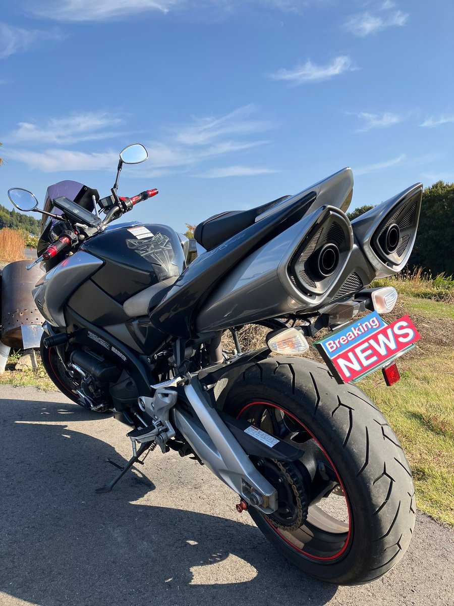 人生初B-kingに跨らせて頂きました タンクが└( 'ω')┘ムキッって感じ