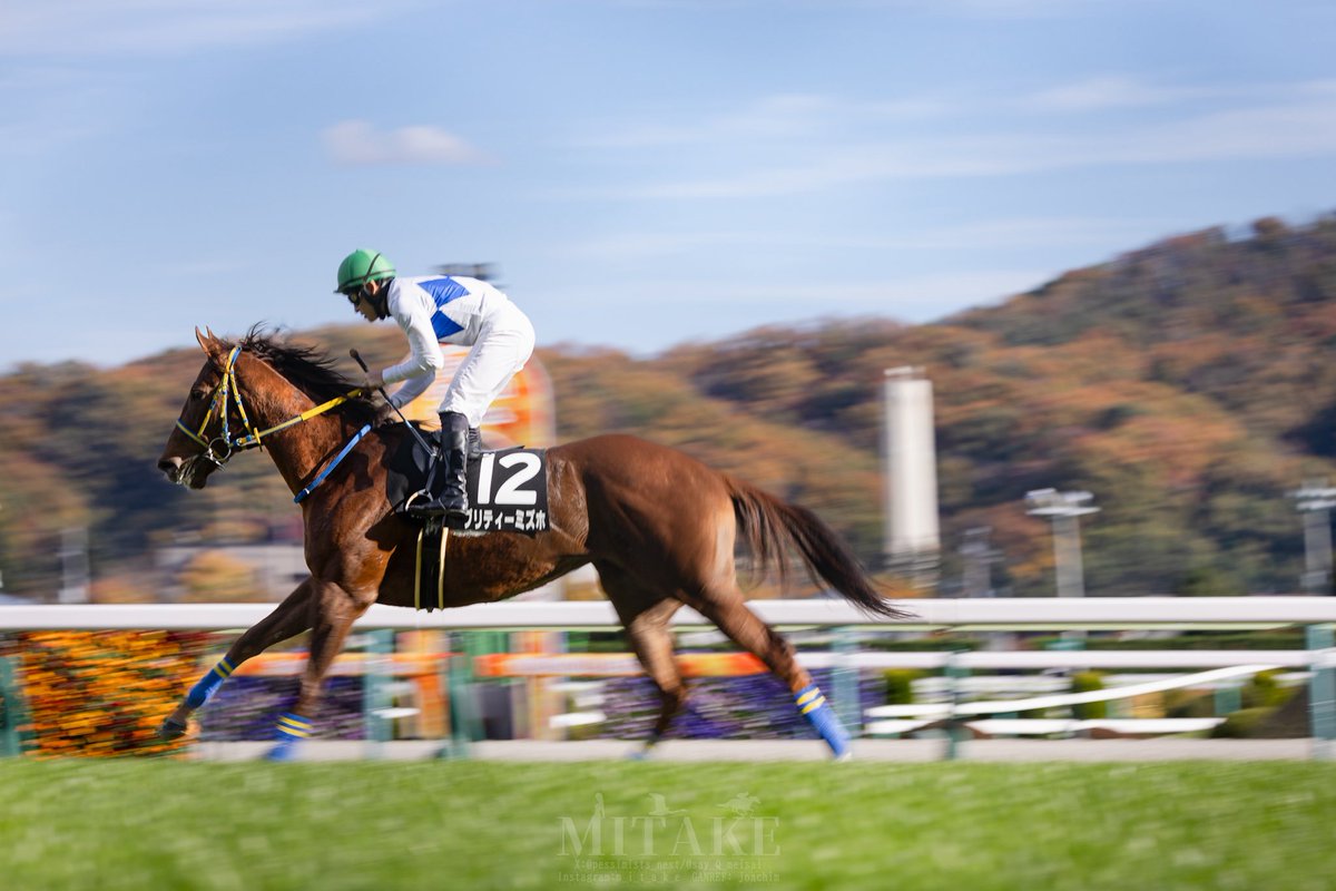 1回限り出品 まねき馬 レインボーカード NO2367 吉田隼人騎手 ソダシ