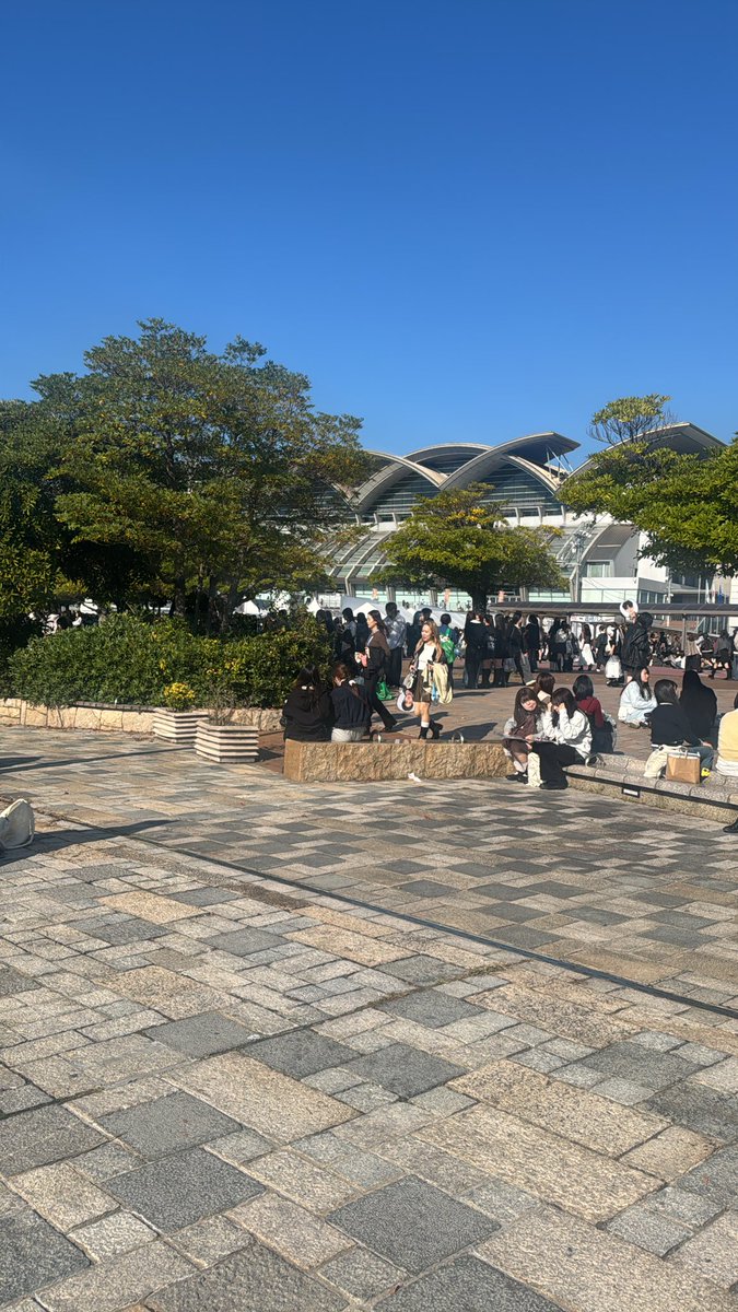 모모🍑 tweet media