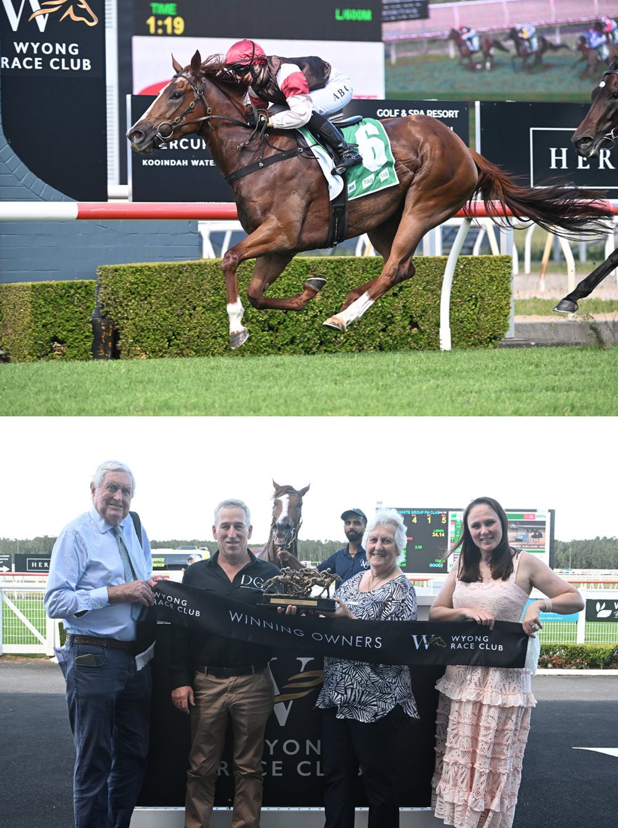 Tulipwood gets the job done in the 1350m F&amp;M Cl1 at Wyong for <a href="/archibaldracing/">Annabel and Rob Archibald Racing</a> &amp; <a href="/AlyshaCollett/">Alysha Collett</a>. The 4yo Russian Revolution mare, a $280k yearling, bringing up win no.2 at 8 with 4 minor placings. Congrats 👏👏 #wyongraces