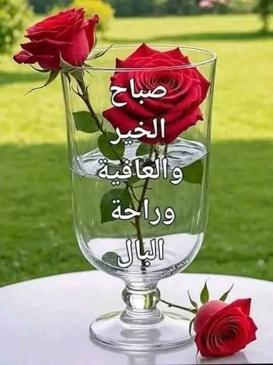 صباح التفاؤل الذي يوقظ فينا الأمل، ويعيد ترتيب الأمنيات، ويخبرنا أن الله قادر على تغيير الحال في لحظة. ابتسم وابدأ يومكِ بذكر الله، فالأيام الجميلة تبدأ من الداخل قبل أن تُشرق في الخارج
صباح التفاؤل وراحه البال 🤍