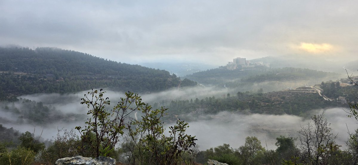 אם היה אפשר להעביר את הריח…