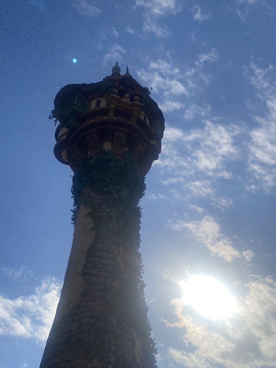 kawerdmon's tweet photo. 逆光のラプンツェル(*´つ_⊂｀) https://t.co/jD9uzg4Qpb