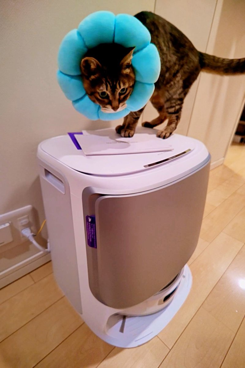 gou_gou777's tweet image. 朝からさっそくNarwal Flow ロボット掃除機を稼働
まずはMAP作成、アプリケーションインターフェースはわかりやすい、ペット有無も最初に設定🐱、ペットエリアでは、速度を落として吸引力をブースト
水拭き後のモップ洗浄後の汚水タンク内は黒い水😆
#NarwalFlow #ロボット掃除機 #水拭き