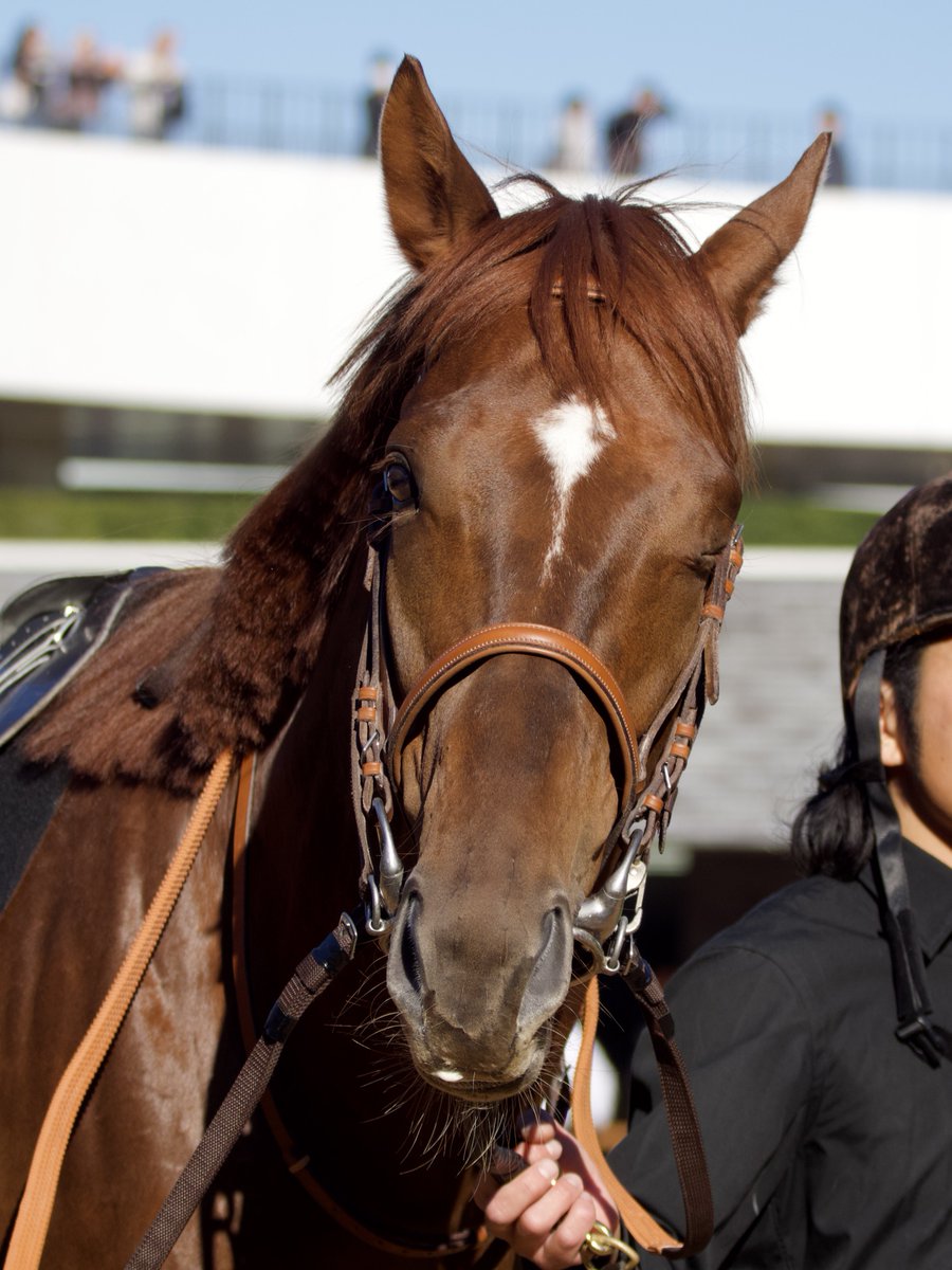 マリコ☆デラックス (@marikoDX1) / Posts / X