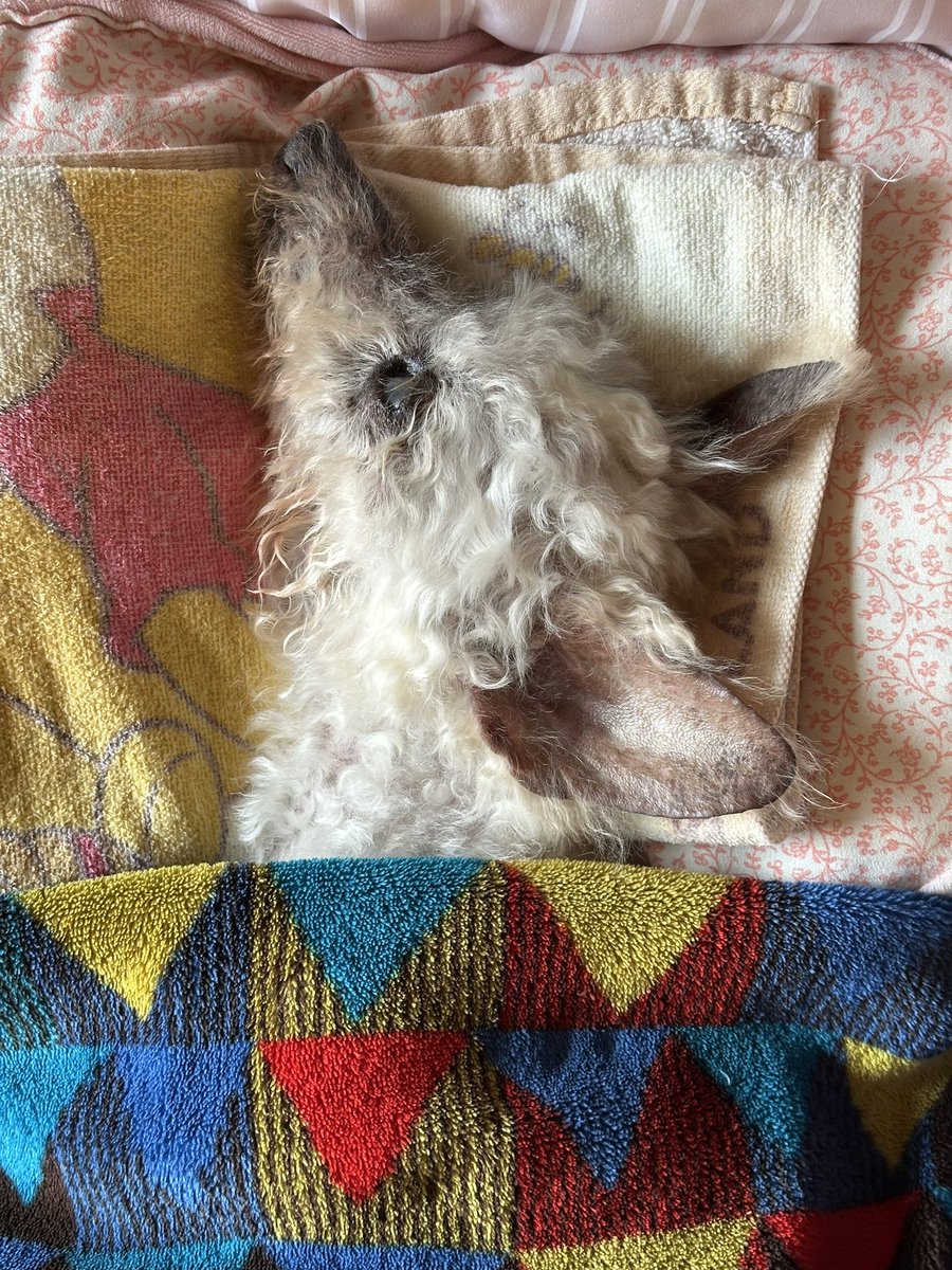 yk様オーダーページ 復活したようなので帰ります！