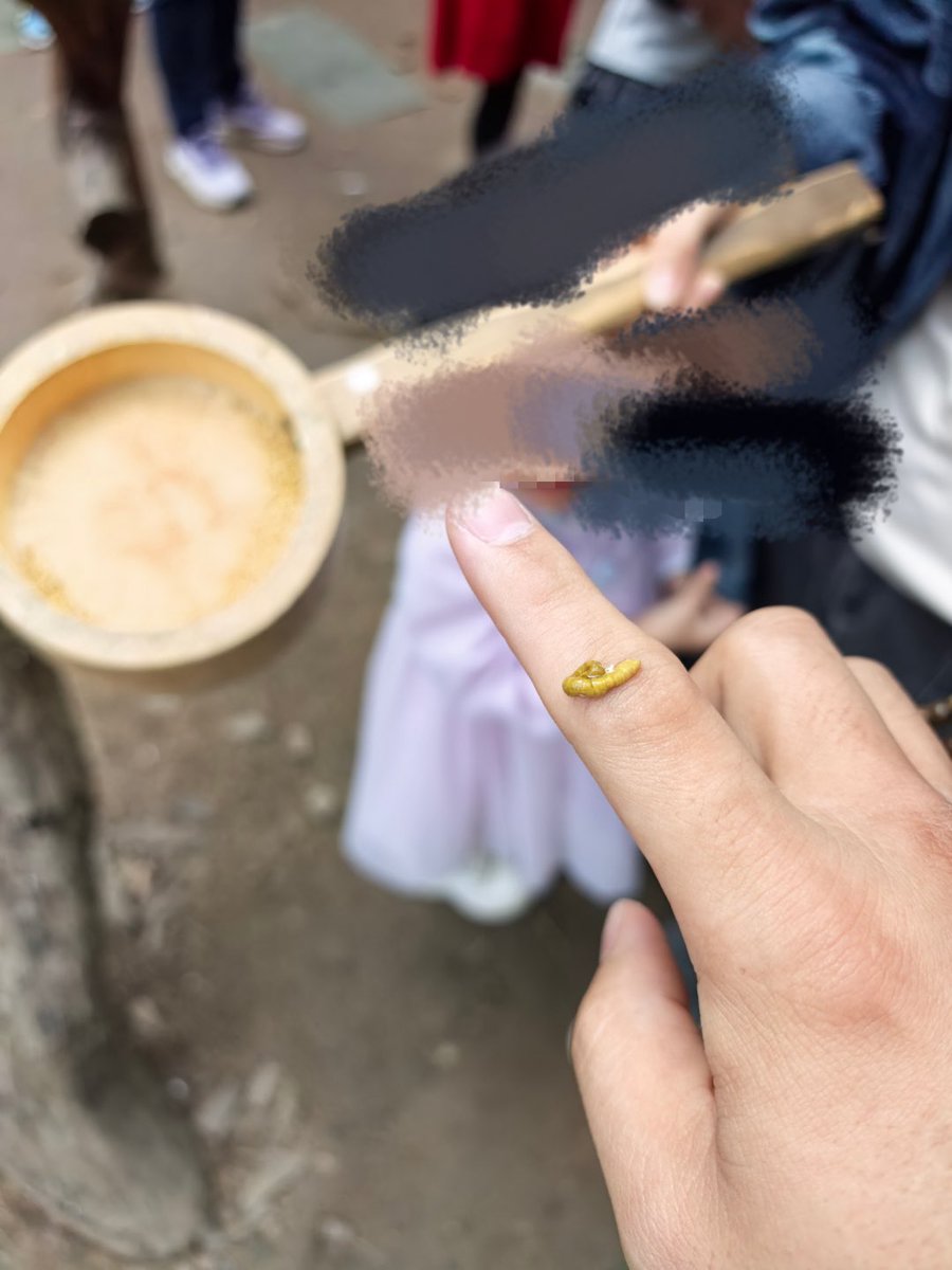 我嘞个XX你个OO

我只是吹了个口哨让鸟儿下来吃一口

丫的它直接投弹😅

我这是要走鸟屎运了吗🥹🥹🥹