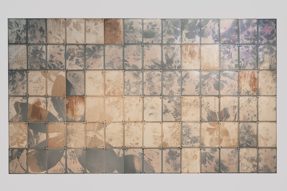 Sofia Crespo 🪸 tweet media