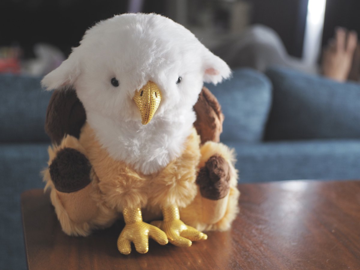 ゆるっとデザフェスに行ったら、夫が珍しくぬいぐるみを気に入って買ってた🛍️ひなグリフォンだそうです🐣おすわりかわいいね