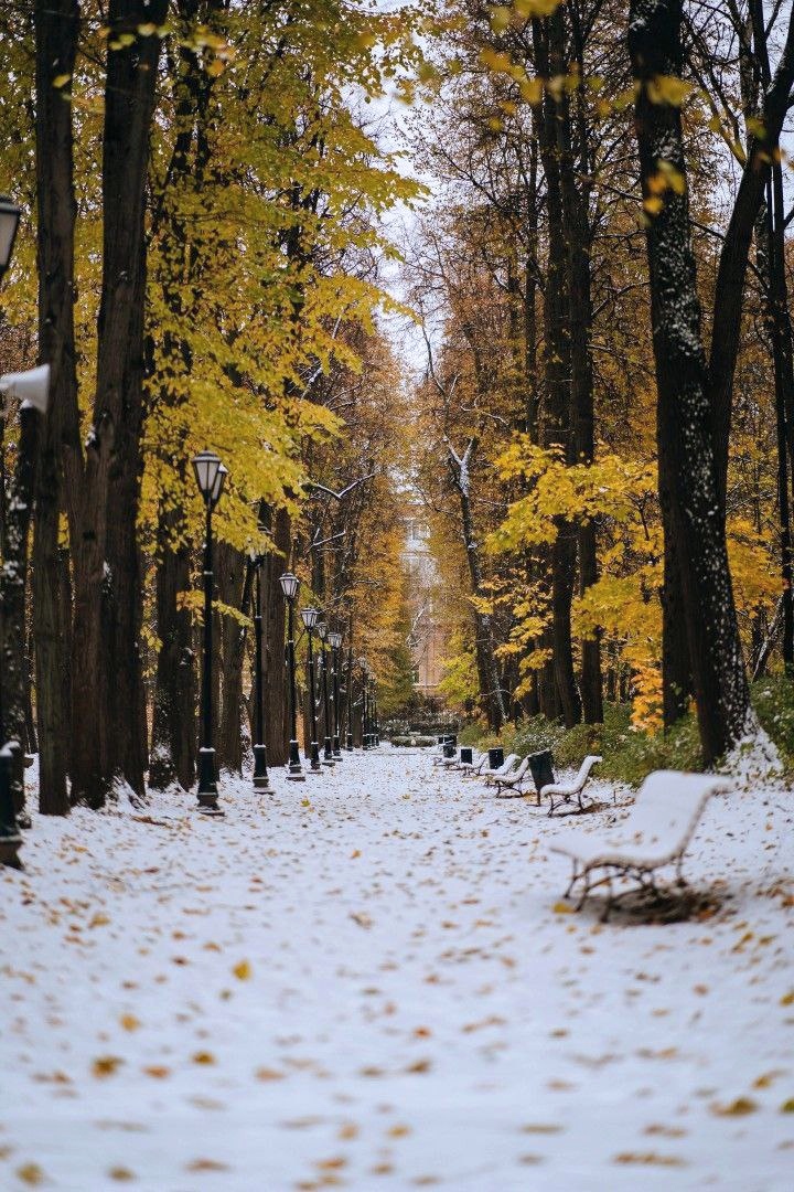 123 (@xetra_a) on Twitter photo 