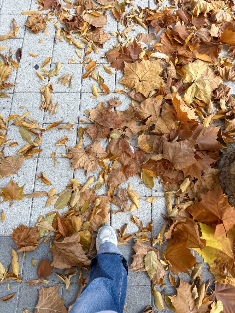 커다란 낙엽만큼 넓은 보폭으로 -!