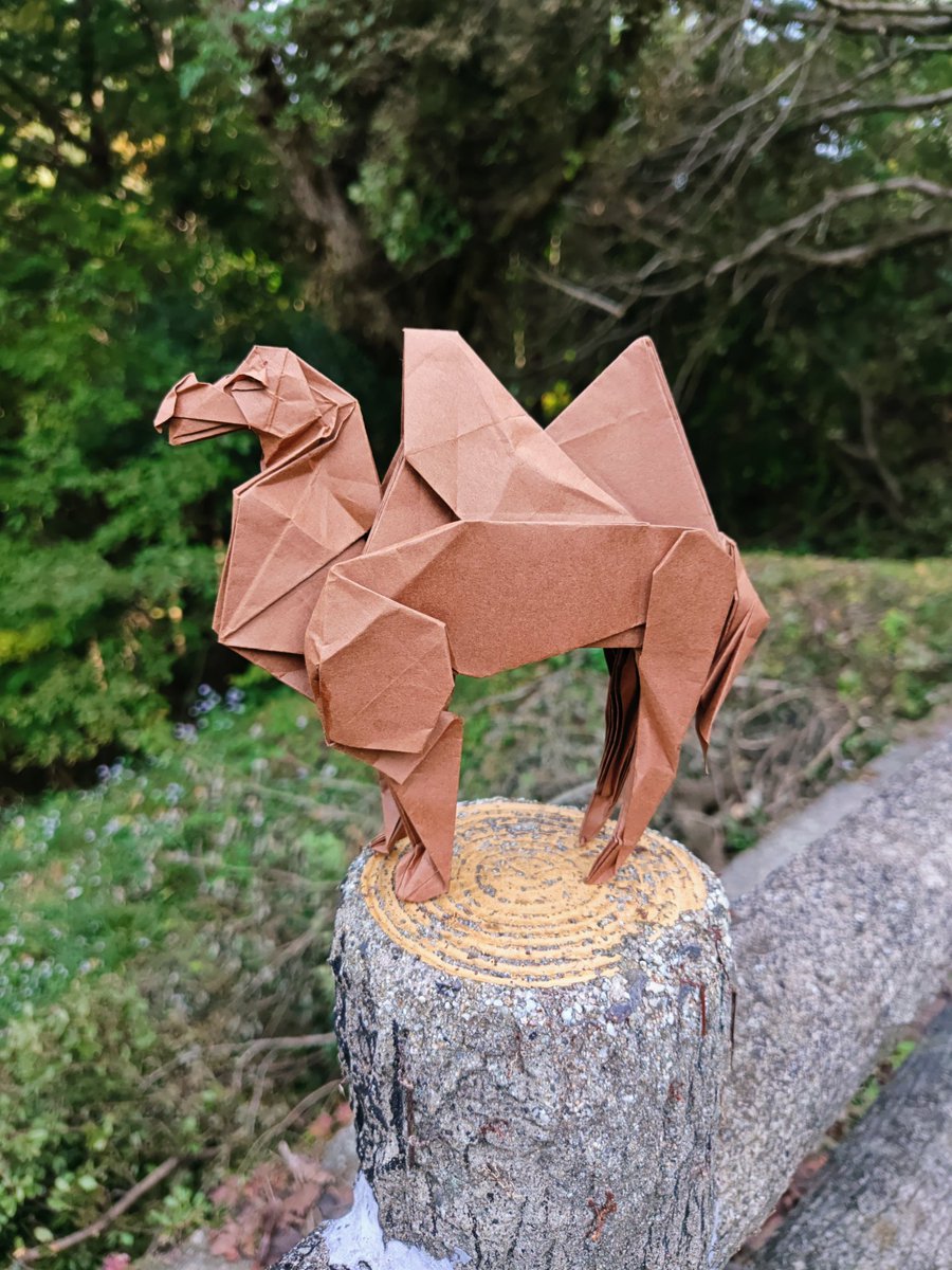#超絶の折り紙 より
「フタコブラクダ」
paper 50センチビオトープ
体の立体感、スタイルが美しい作品✨
首から足回りの折りが難しかった。
#勝田恭平さん #フタコブラクダ 
#折り紙 #ラクダ #折り紙作品