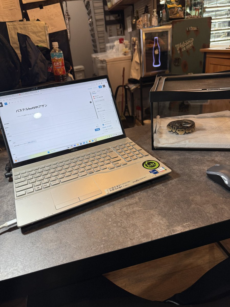 LR63112026's tweet image. lr-fukuoka.com

今日から頑張ってホームページを更新するぞ💪
100匹以上新しく掲載するので、
是非ちょくちょくチェックしてくださいね✨🙏
#ボールパイソン
#福岡
#ballpython