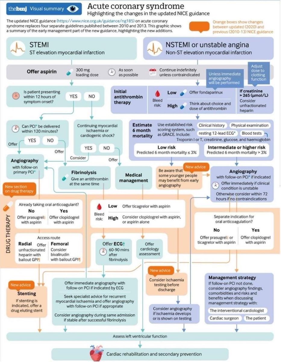 doctors_squad's tweet photo. Acute Coronary Syndrome 🫀 https://t.co/hqg5ju1Uxz