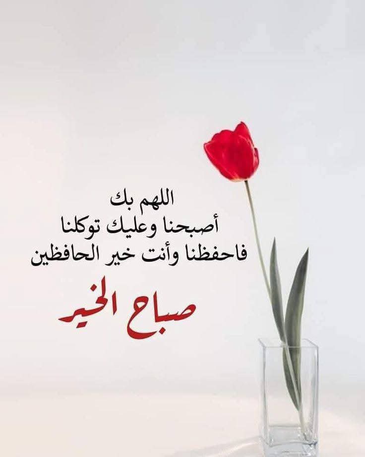 ياسر الدسوقى (@z1dstwcwddjcvjg) on Twitter photo 