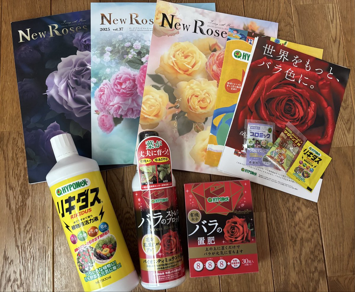 RICO (@ryyryy3A3A) / Posts / X