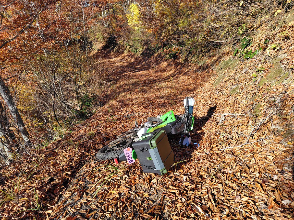 ちせ👻無添加ほのぼのドライブ (@chise_tocot) / Posts / X