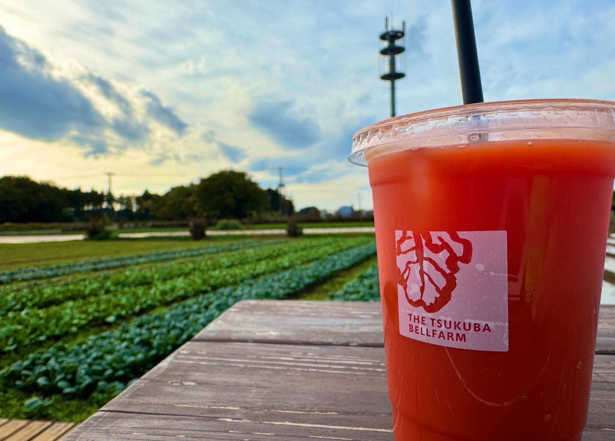 うそみたいに甘いにんじん🥕
1000円取り放題。20本くらい収穫した。

車でつくば来て余裕あったら是非ベルファームさん行ってみてね。
ジュース超美味しいよ🍹