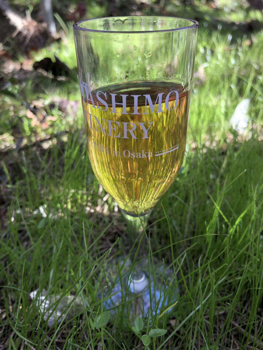 よゆーのよっちゃん (@piyochan5963) / Posts / X