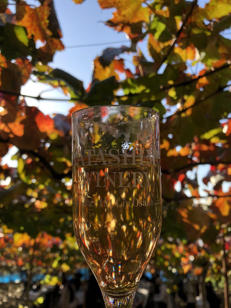 よゆーのよっちゃん (@piyochan5963) / Posts / X