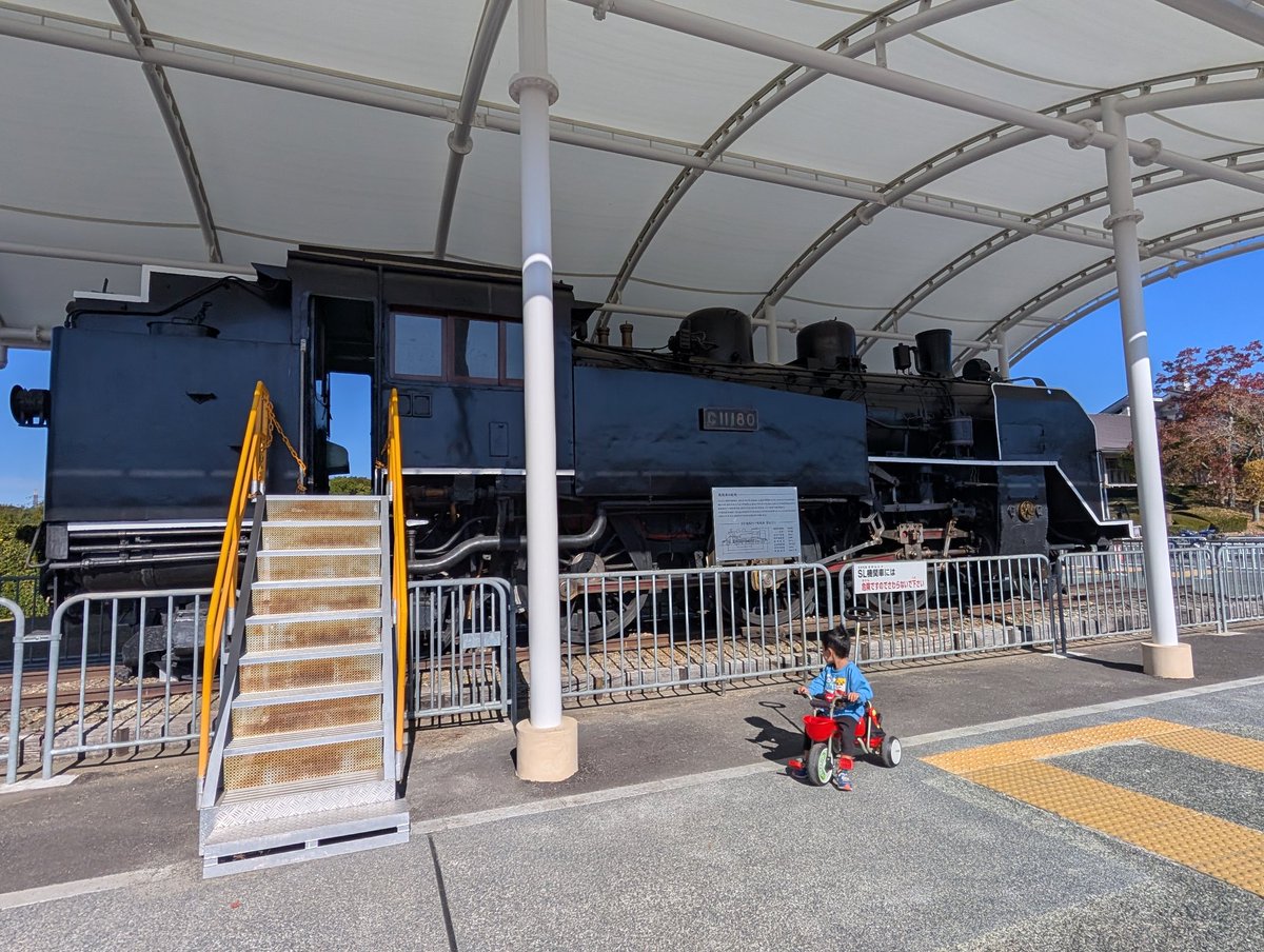 euro_dan2025's tweet image. 元気になった次男と共に
家を追い出されたので太陽が丘へ
ぽかぽか陽気に半袖で心地良き✨️
少し遅めのお昼はやまびこへ
鳥せいろ（大）を頂きました
勿論美味しかったです✨️

#やまびこ