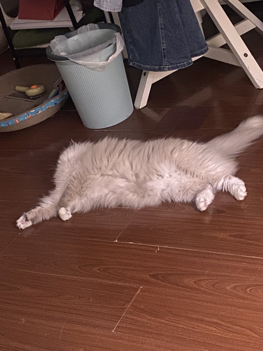 api_beer's tweet image. 天冷了，随地长毛毯