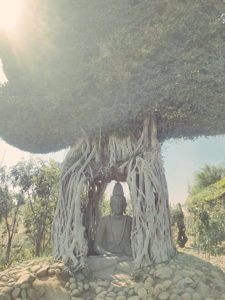 SAIKH18119789's tweet image. Buddha &amp;amp; me: same frequency 
#HigherVibes #SoulPeace #Buddha @Experiumpark