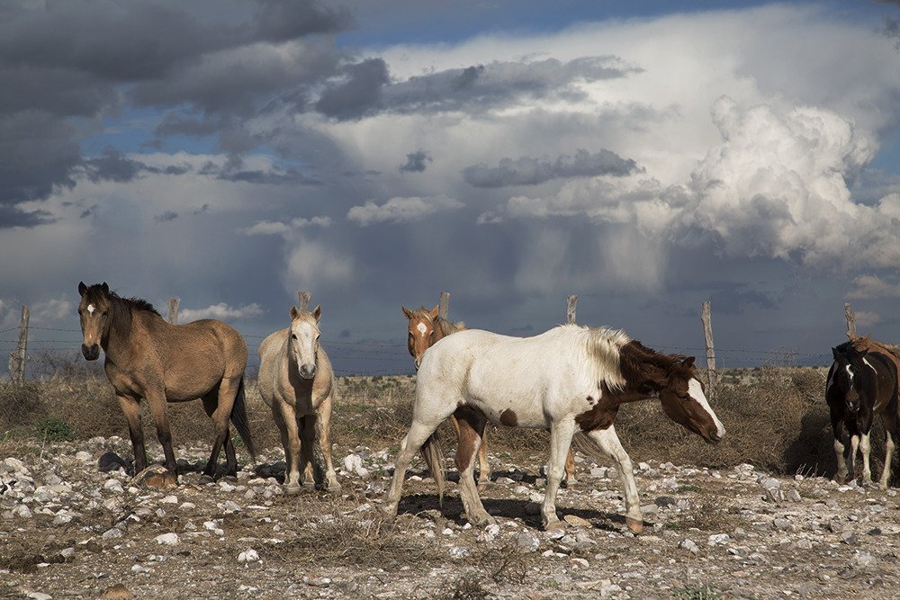 sovietsoleri's tweet image. 