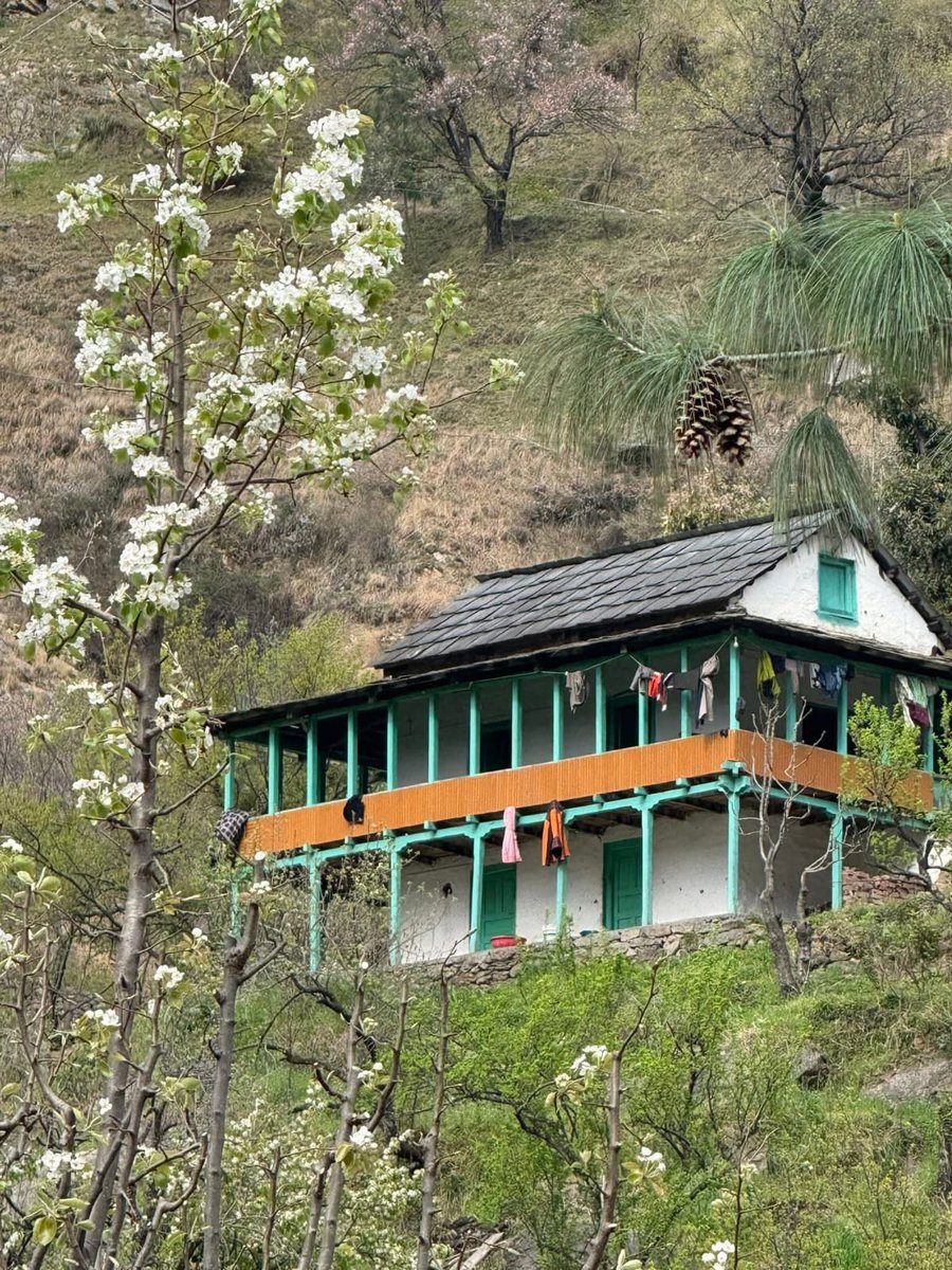 From trekking album...

#GoodMorning #Pals 🌄🍀🐦
Wishing you a relaxed #Sunday
Warm regards 🌲🌹🙏

#IncredibleIndia 🇮🇳- Beautiful forest houses, Janihar village, Tirthan Valley, Kullu, #Himachal Pradesh...