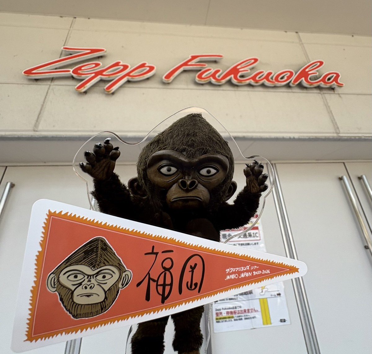 本日は　福岡県🍜
Zepp Fukuoka公演🔥
 
ザ・クロマニヨンズツアー
JAMBO JAPAN 2025-2026
 
📣ツアーグッズ・CD/DVD
先行販売のお知らせ📣
🕒開始時間/15:45～（予定）
 
‼️本日チケットをお持ちの方を対象に会場でCD/DVDを2,000円以上購入すると先着でサイン色紙プレゼント🤲