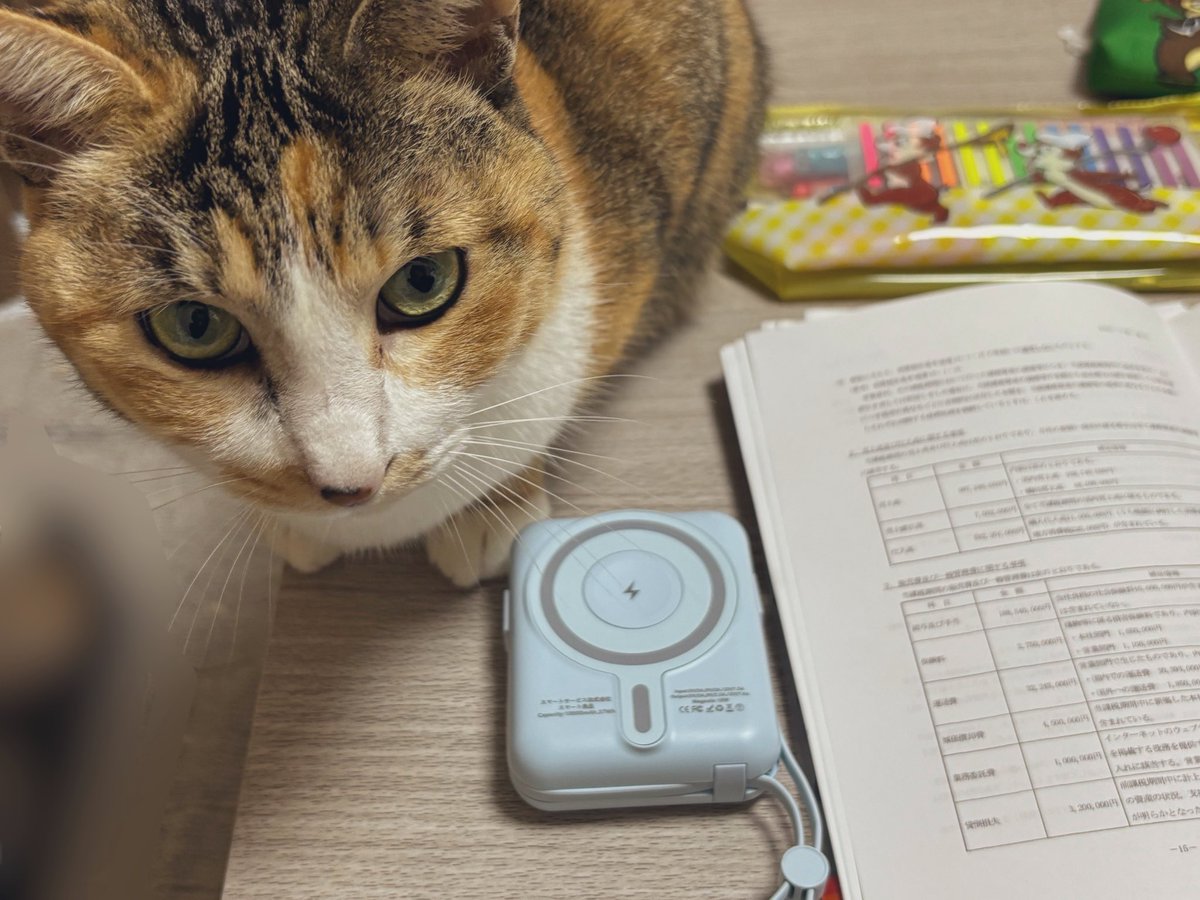 rinnn_dir's tweet image. 邪魔しない猫