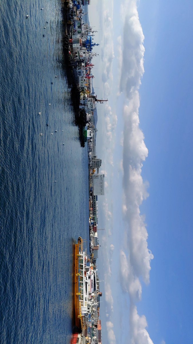 LoL_F0REST's tweet photo. 韓国仁川の海 https://t.co/jA0fHKQ8nz