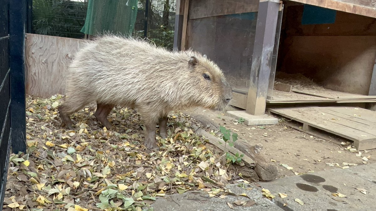 2時間くらい粘っていたら大変ありがたいことに直近までお越しになりお