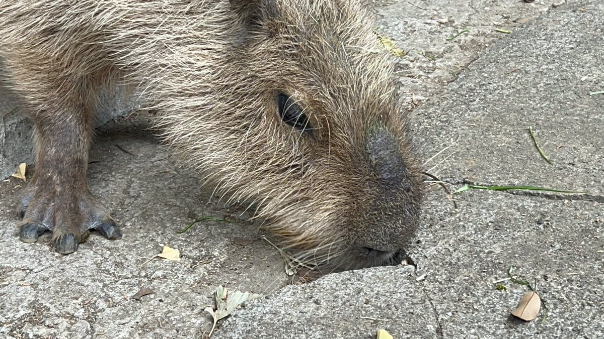 2時間くらい粘っていたら大変ありがたいことに直近までお越しになりお