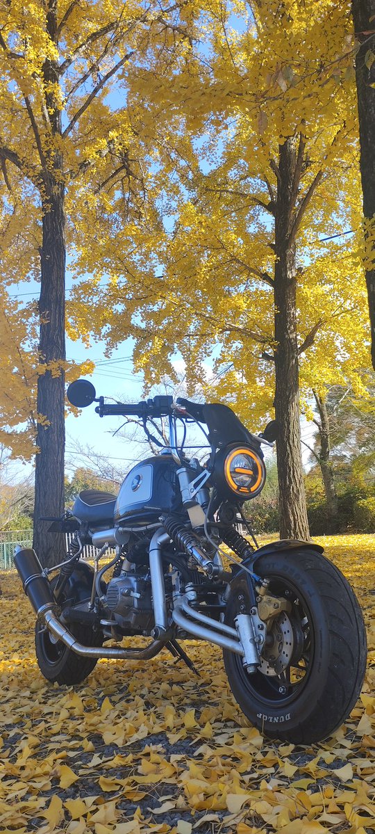 Contrailsaoshi's tweet image. たまにはゆっくりトコトコ走る💨