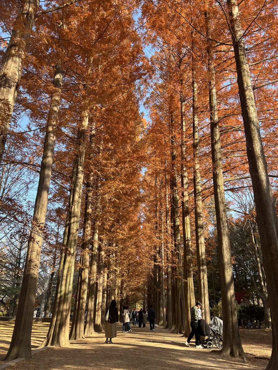 kyuirann's tweet image. From one day to day one. 🍁