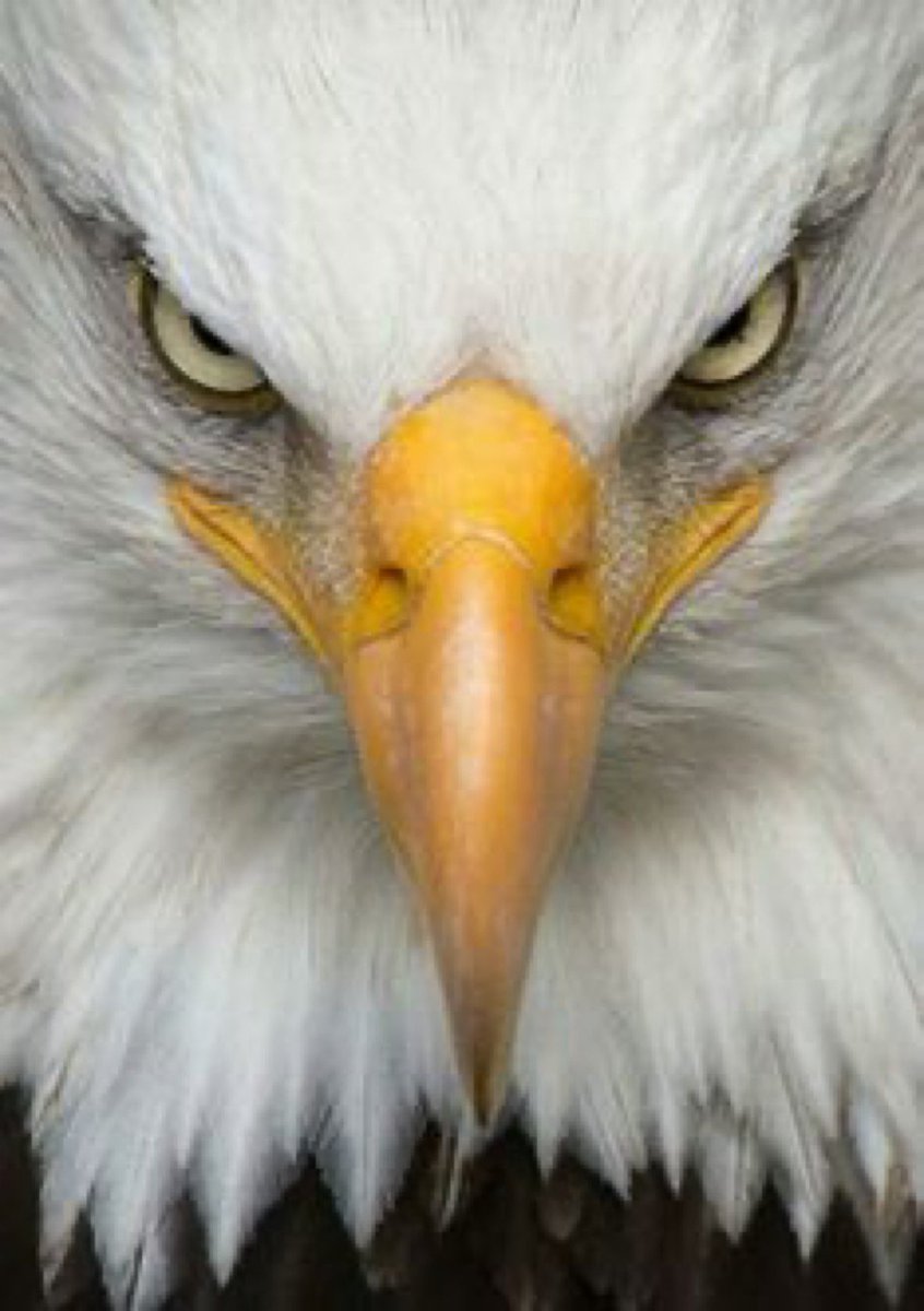 ¡MI GENTE!   ¡BUENAS NOTICIAS!  En cualquier momento…