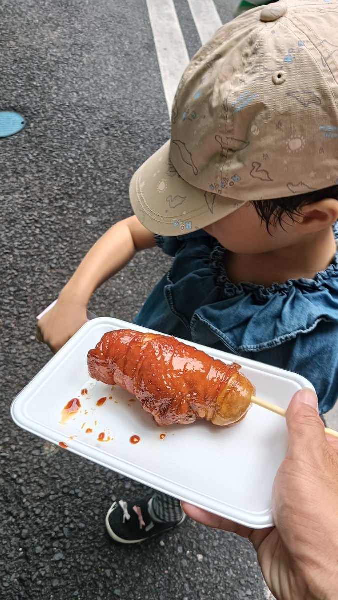 京都で食べた鶏チャーシュー