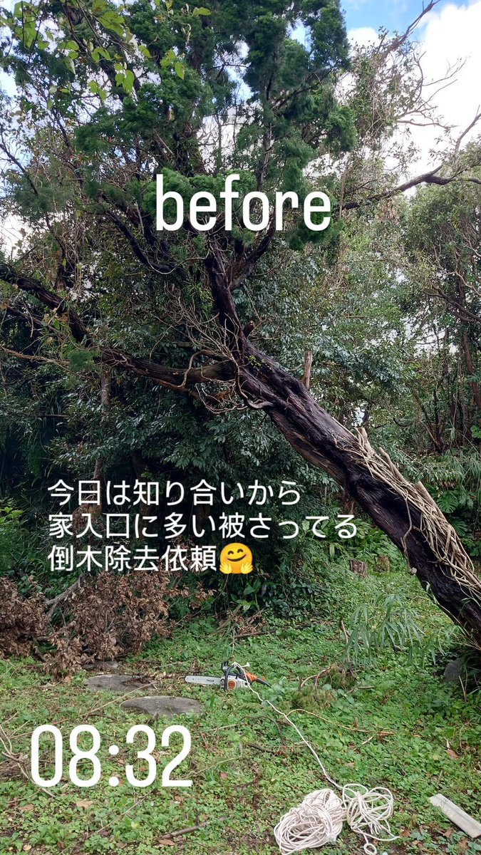 Sugifkin710's tweet photo. 昨日引退させると言って
土石流被災時に大活躍の地下足袋
今日も酷使してる🤣🤣
今ごろ本職ガイドだったら
週一くらいしか働いてないが
先週は月土週６働いて
今週は週７
高市総理に負けてないな🤣🤣🤣 https://t.co/DQJK55Jwdz