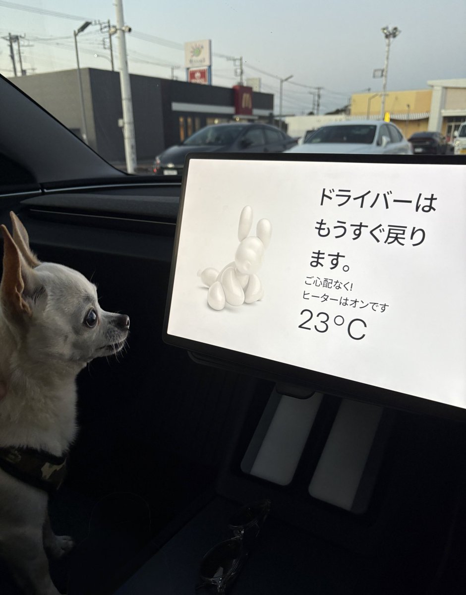 はじめてのドックモード
#tesla