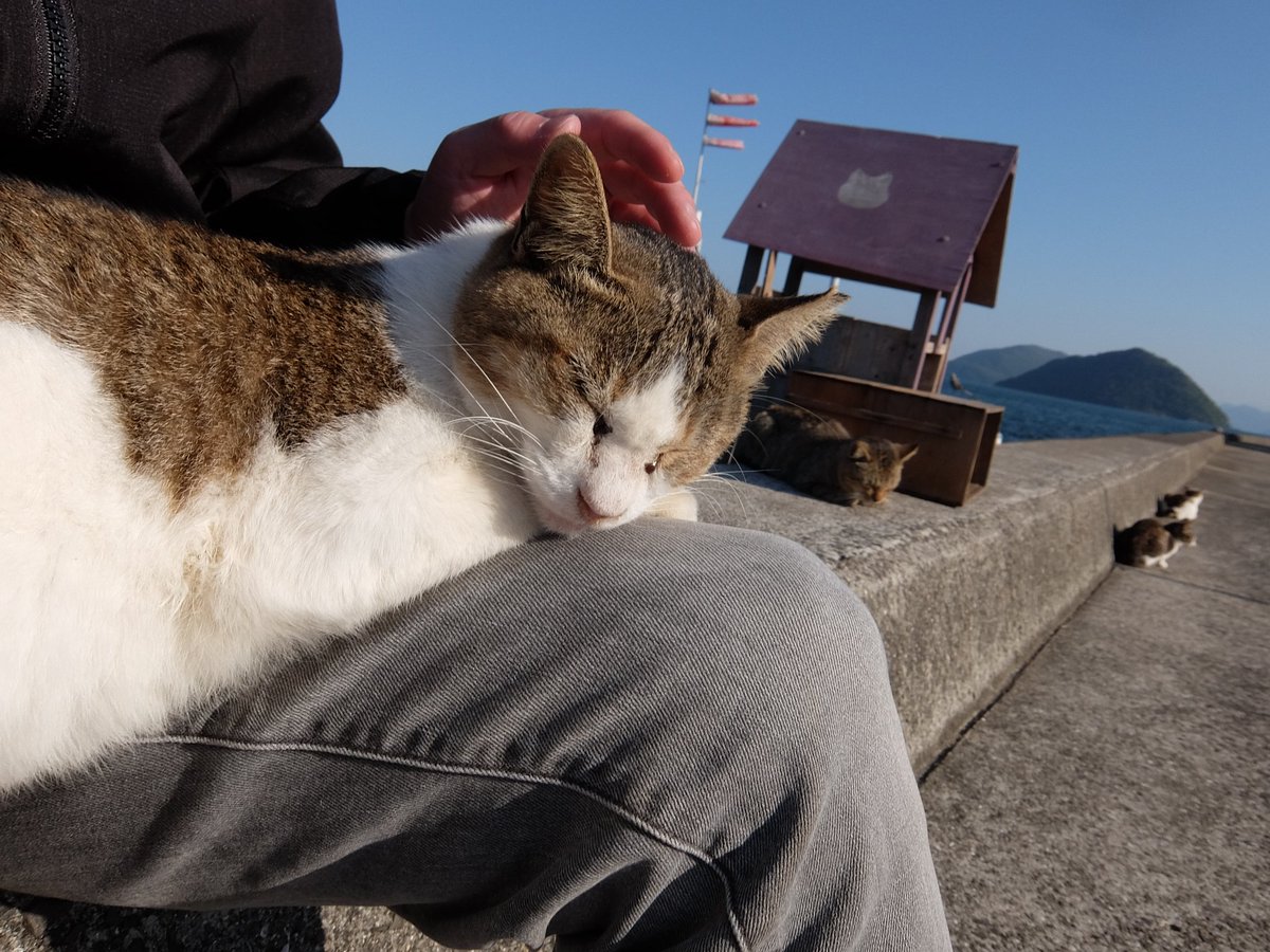 かずまる かずまる (@kazmaru_son) / Posts / X