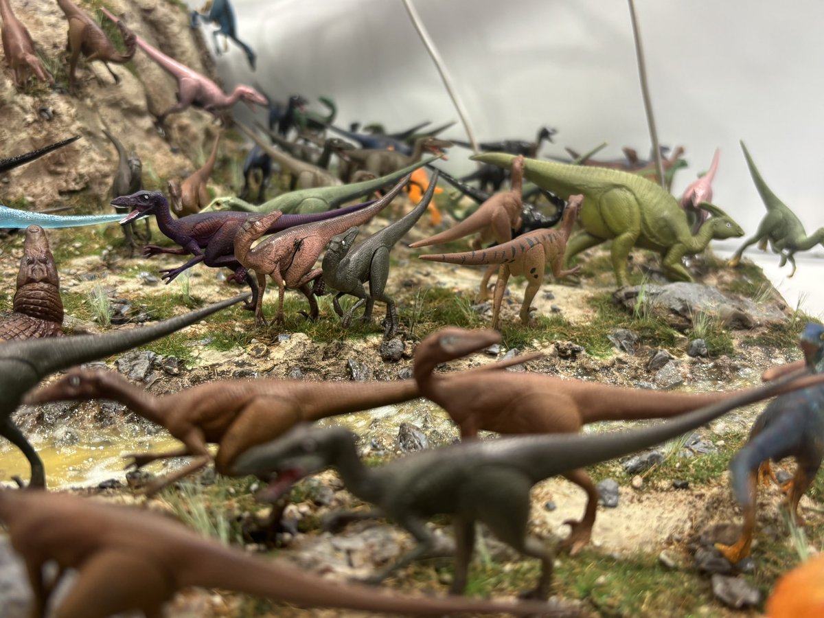 chiba_modo's tweet photo. 今回タミヤフェアのために恐竜のジオラマを制作しました🦖🦕1人6ラプトルがノルマでしたが、中には18体作った会員も…⭐︎⭐︎

#タミヤフェア
 #MOKEICAMPUS https://t.co/kJhJhYXYAv