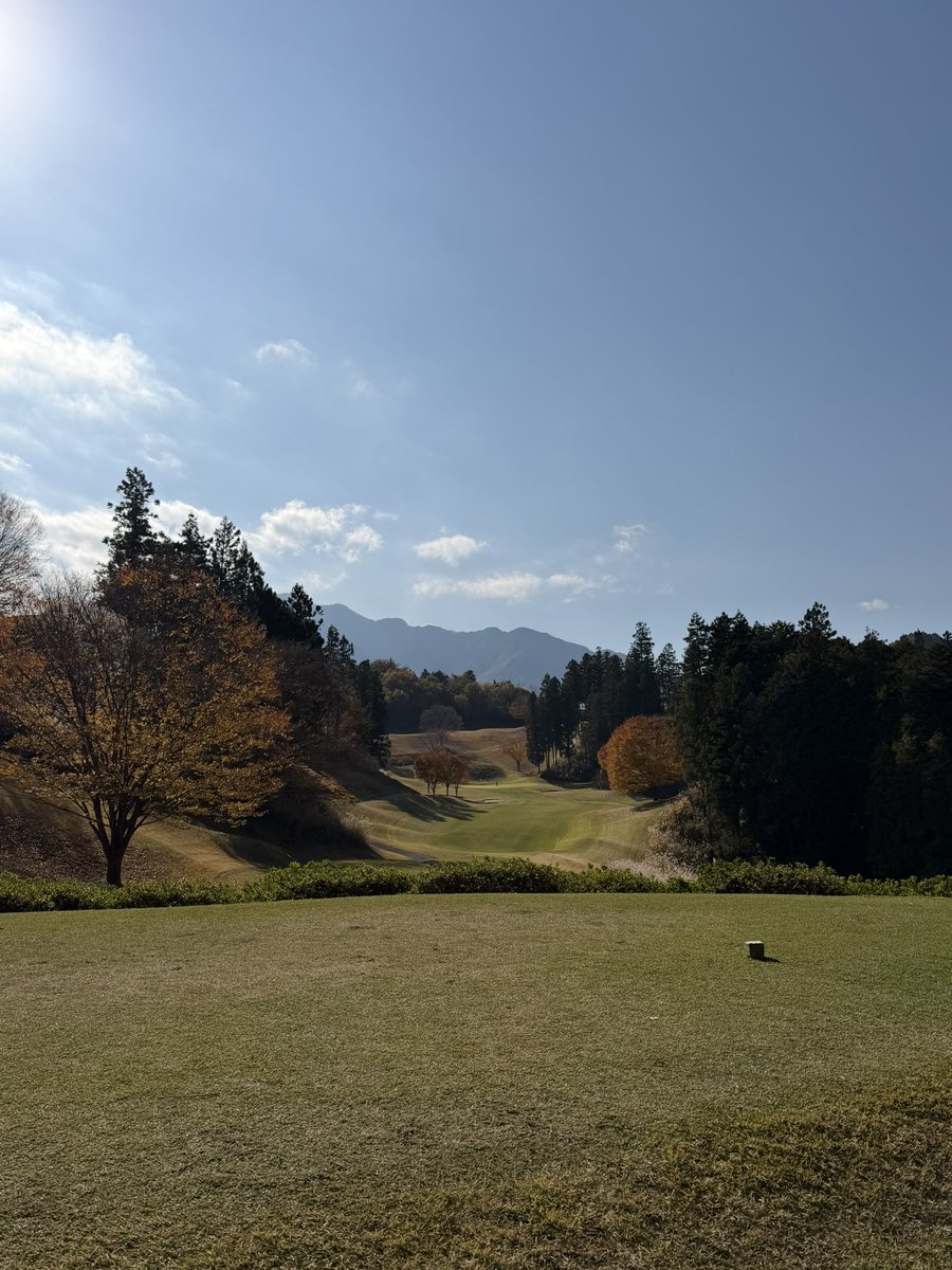 _tnuorhsA's tweet photo. ゴノレフ！！！⛳️ https://t.co/93B2nrz1bc