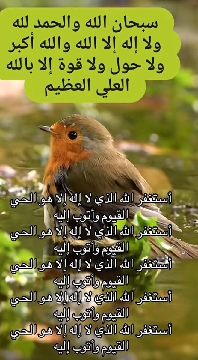 fafa534's tweet photo. https://t.co/ETdxXXdvUM