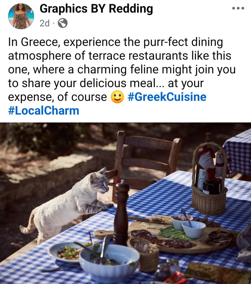 MSVIVACIOUSCOM's tweet image. #ClickLinkInMyBio 
#ReddingGraphicsAndTravel
#Dream #Live #TravelTheWorld

facebook.com/share/p/1FmEfS…