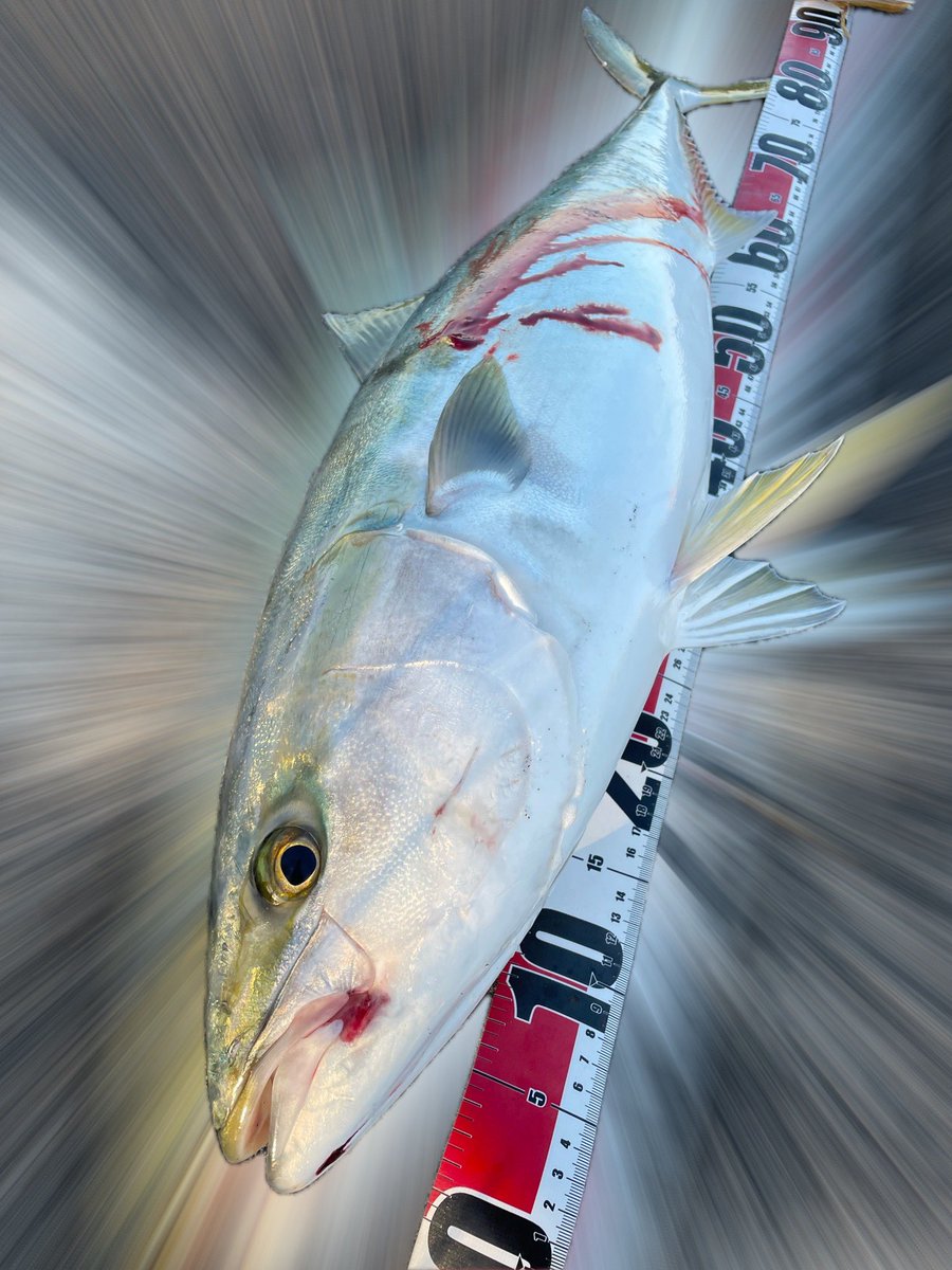 YUUリンク Adore Princess-Cut Diamond Double Halo Bridal Set 3 ct tw 10K