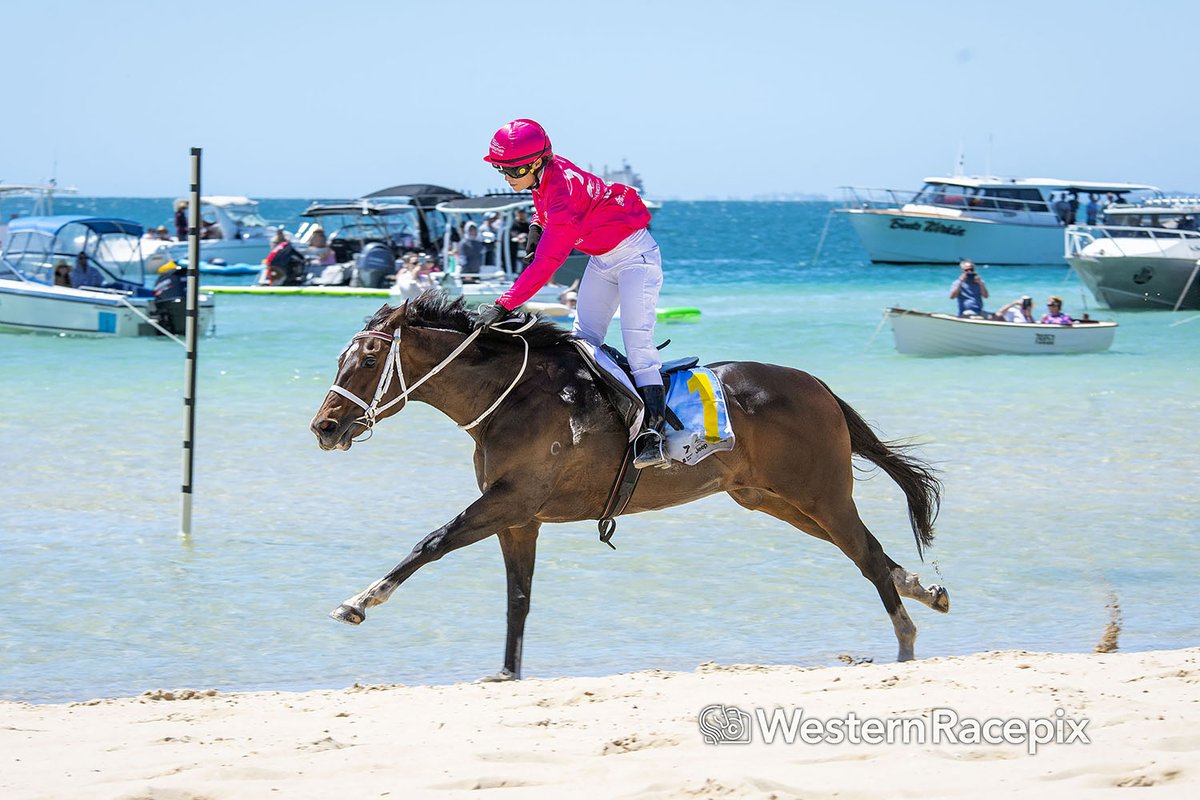 WesternRacepix's tweet photo. BAY STREET - Rockingham Beach Sun 16th November #WesternRacepix #RockinghamBeachCup
More π· https://t.co/XhRFkk00xX https://t.co/pxx9l7Dm4p